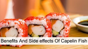 Masago - Benefits And Side effects Of Capelin Fish - Glowy Dowy