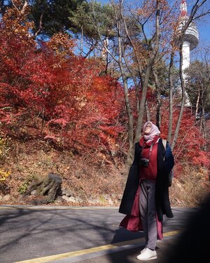 It's amazing how just being surrounded by trees does really ease my mind, and even sometimes, is the only thing that can make me smile when having a rough day. Oh, thank you, Mother Nature 🍁 #clozetteid