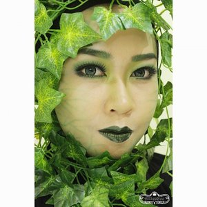 I am going green with my Poison Ivy makeup this time. For this look I wore the @yukkiyuna Queen Twilight for the upper lashes and Perfect Dream for the lower lashes. Check out my blog for the tutorial~ :D
#PoisonIvy #fantasymakeup #makeup #green #leaves #Clozette #ClozetteID