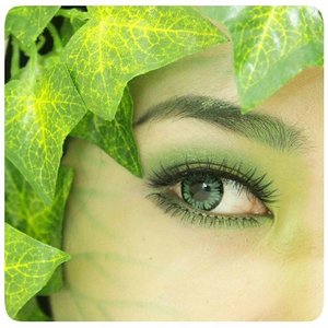I see you there~ 🍃

#throwback #poisonivy #green #eyemakeup #eotd #makeup #allseebee #clozetteambassador #ClozetteID