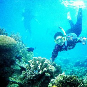 Hanya ada keindahan dalam relung lautan... wonderful experience!! #clozette #clozetteid #instatravel #instamag #instagram #instapic #adventure #travelling #traveller #trip #karimunjawa #karimun #snorkling #underwater #wonderful