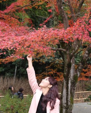 Over joyed 🍁 (Swipe left to see behind the scene of this pict. LOL 😝) #ClozetteID #Lifestyle #Travel #Kyoto #Japan #Autumn #autumninkyoto #fallseason #explorejapan #explorekyoto