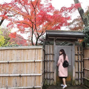 My memory is back to the autumn in Kyoto 🍁
📸 @johanjsaleh

#ClozetteID #Lifestyle #Travel #Japan #Kyoto #Autumn #fallseason