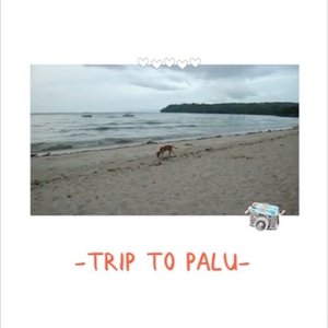 My trip to Palu video is up on my youtube channel. Hope you like it. Link at my profile ;)...#clozetteid#explorepalu#wonderfulindonesia