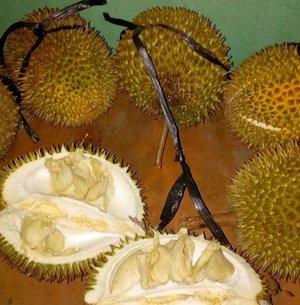 Udah musim duren 😍😍😍
Mayaaan dikirimin fotonya dulu kata pak Suami 😅
.
.
Makannya diwakilin dulu ya, Pah.
*nangis di pojokan
.
.
Lemme go hooooome!🙈
#durian #fruit #fruity #duren #musimduren #durensimpangmio #manis #asli #palembang #culinary #food #foodie #clozetteid #updateblog #blogger #bloggerperempuan #hijabblogger #emakblogger #bloggerpalembang #lifestyleblogger #loveandshare #almawahdie #bloggerbandung #bloggertofollow #indonesian