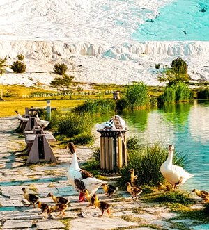The Ugly Duckling and The Beautiful Cotton Mountain. .Hop over to myculinarydiary.com/TRAVEL to see my experience in abroad.#sisytravelingdiary #traveljourney #ootd #duck #scenery......#clozetteid #wisata #travel #igtravel #travelgram #buzzfeed #europe #holiday #turkey #turkiye #cappadocia #kapadokya #desert #dubai #photography #photooftheday #foodoftheday #cakedecorating #photoshoot #fujifilm #beautifuldestinations