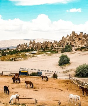 Horses on the field! 
Captured by Samsung S9 only.
Love the tone colour of this camera!
.
Hop over to myculinarydiarycom.wordpress.com/TRAVEL to see my experience in abroad.
#sisytravelingdiary #goreme #horse #samsungs9 #samsungonly
.
.
.
.
.
.
#clozetteid #wisata #travel #igtravel #travelgram #buzzfeed #photography #holiday #turkey #turkiye #cappadocia #kapadokya #desert #dubai #photography #photooftheday #foodoftheday #cakedecorating #photoshoot #fujifilm