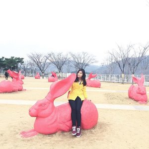 Pinky 🐰 Land 💕••••••#photographoftheday #like4like #instagood #igers #instagram #instalike #instamood #instadaily #likeforlike #meinframe #explorekorea #korea #daegu #webstyle #webstagram #cotd #clozetteID #holiday #weekend #havingfun #enjoy #schoollife #mytravelgram