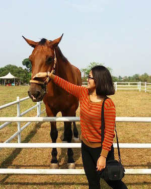 Who doesn't love horse? Definitely not me. :P #ClozetteID #StarClozetter
#travel #horseriding #horses #equestrian #APM #riding #ridingschool #tigaraksa #tangerang #exploretangerang #banten #indonesia #2015 #horsearoundme #bighorse #pet #stall #outdoor #morning #throwback #APMequestriancenter #equestriancenter