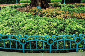 Not-so-hidden Mickey at @hkdisneyland Hong Kong Disneyland. 🌿🍃#thejournale #thejournalejourney #clozetteid #hkdisneyland #hkdisneylandresort #park #garden #2017 #throwback #discoverhongkong #hongkong