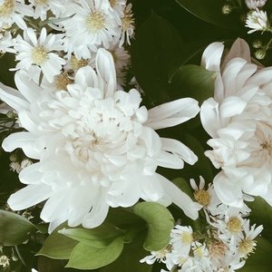 🌿🌿🌿 .
.
.
.
.
#vsco #vscocam #potd #peoplescreative #clozetteid #green #whiteflowers