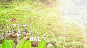 Meet me in Bali 🌾🌾🌾
I miss trekking in Tegalalang Rice Terrace Ubud 👟 Tiring but so worth it 😆 Sejuk sejuk gimana gituh...
When will we go again buddy @anisa_prmst 😇 .
#dewitraveldiary #bali #ubud #travel #travels #clozetteid
