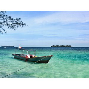 Tertambat.
.
.
.
.
.
.
Location : Pulau Dolphin - Kep. Seribu 