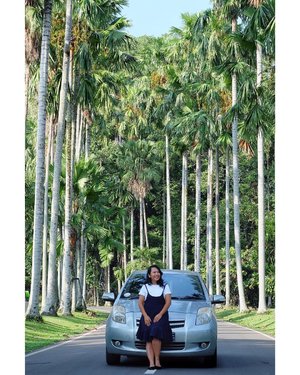 Kebun Raya Bogor with its palm trees. Shaddy and tranquilize...#Bogor #clozetteid #ootd #lifestyle #ootdindo