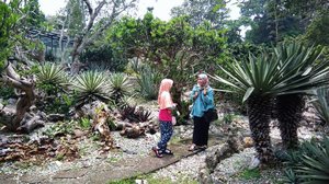 Terakhir ke Kebun Raya Bogor nggak ketemu Taman Meksiko ini. Akhirnya Sabtu ini karena libur kerja, main lagi ke Kebun Raya Bogor dan akhirnya nemu Taman Meksiko. Tempat ini termasuk salah satu spot foto yang asyik banget. Di Taman Meksiko ini ditumbuhi kaktus-kaktus raksasa. 
Teman sudah pernah ke Taman Meksiko di Kebun Raya Bogor ini? 😍 #clozetteid
#bogor #weekend #happy #lidbahaweres #mom