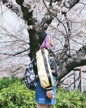 Turn 24 in my dream country this year! 🌸...#clozetteid #japan #tokyo #uenopark #BigDreamerInJapan #japantravel #japanloverme #fbloggers #bbloggers #cherryblossoms #sakura #旅行 #旅行ブロガー #ファション #桜 #패션스타그램 #여행 #여행스타그램