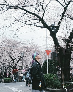 I have more than enough pics to post until my next visit. Please bear with it 😛😛 Will try to write one or two blog posts about the trip too #bigdreamerblog
.
.
.
#clozetteid #japanloverme #ggrep #BigDreamerInJapan #tokyo #meguroriver #travelblogger #fashionblogger #lifestyleblogger #japan #japantravel #solotravel #femmetravel #theglobewanderer #exploretokyo #旅行 #여행자 #여행 #일본여행 #여행스타그램