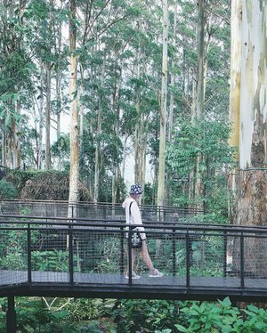 In a holiday mood 🎐Taken months ago at Dusun Bambu, Lembang.
.
.
.
#clozetteid #explorebandung #travelblogger #여행스타그램 #여행 #스트릿패션 #여행블로거 #旅行 #ggrep #bandung #dusunbambulembang #traveler #abmtravelbug