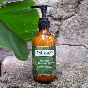The review of this wonderful cream cleanser @antipodesskincare Hallelujah is finally up on the blog. Mentioned a little bit of comparisson between this and Juliet. 
I got this one from @benscrub. Go get them while they're still in stock.

#antipodes #antipodesskincare #naturalskincare #antipodeshallelujah #benscrub #cleanser #skincare #skincareaddict #skincareblogger #fdbeauty #clozetteid #bblogger #bbloggers #beautyblogger #beautybloggers #beautycommunity
