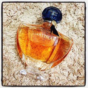 classique 💖 #perfume #fragrance #guerlain #shalimar