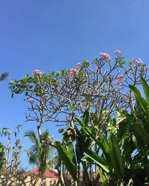 Well hello blue sky! Super hot here but I'll take it 😆😆
#bali #holiday #bluesky #poshplushtravel #happy #grateful #clozetteid