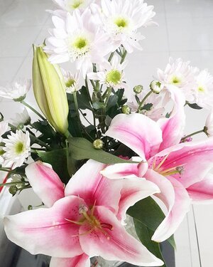 "People deal too much with the negative, with what is wrong. Why not try and see positive things, to just touch those things and make them bloom?" -Nhat Hanh-A lovely surprise from dear hubby last night really made my day 😊Have a good break today, dear friends. #quote #lily #bouquet #positivevibes #goodvibes #love #grateful #happy #pink #clozetteid