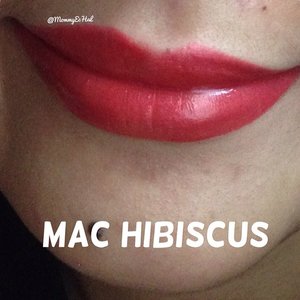 Mac Hibiscus
