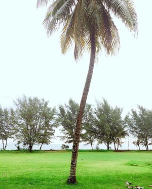The world is a beautiful place ... ðŸŒ´ðŸŒ´ðŸŒ¤
#masyaAllah ðŸŒŠ
.
.
.
#naturephoto #palmtrees #natureðŸ�ƒ #seaside #seascape @unumdesign #unum #greenery #westjava #indonesia #tropicalparadise #tropicalvibes #onvacay #holidaymode #exploremore #lifeonthego #clozetteid