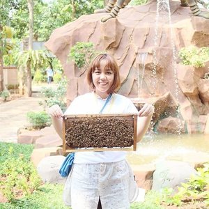 Pluck up courage to hold this beehives for #honeysjourney with Natural Honey 🍯 in Wisata Lebah Pramuka Cibubur#clozetteid #beauty #honey #trip #bloggertrip #blogger #beautyblogger