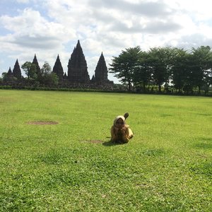 Prambanan Temple, Indonesia.
.
.
.
#prambanantemple #explorejogja #visitindonesia #abmtravelbug #weekendvibes #livethelittlethings #everydaymagic #thatsdarling #wanderlust #worldheritage #clozetteid