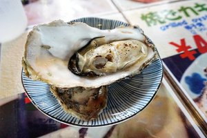 Delicously fresh grilled oyster available on fresh market (almost) all over Japan heeheee. 
We have ours at Nijo Market (Sapporo) and Hakodate Morning Market 
#hakodate #hakodatemorningmarket #letsgo #travel #Japan #oyster #freshoyster #freshseafood #yums #delicious #hokkaido #nijomarket #clozetteID