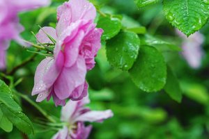 Happy Monday 😁

Happy bergalau-galau ria dengan ganjil genap serta buka tutup tol yang infonya masih gonjang ganjing, apalagi minggu depan ya. 
#lifeinJakarta #lifestyle #beauty #nature #flower #clozetteID #traveling #furano #Hokkaido #Japan