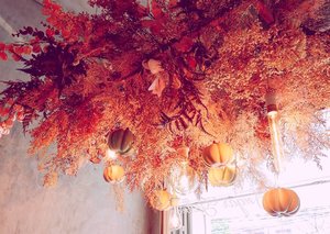 I love fall... They look so beautiful. _________#beauty #carnellinstyle #love #autumn  #motd #lotd #ootd #photooftheday #photography #lookoftheday #pumpkin  #moodoftheday #restaurantdesign #lookbook #style #styleoftheday #ClozetteID#interiordesign  #todaysmood #fall  #colors