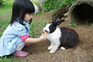 Baby and bunny 🐰 , my Monday mood booster 😍😍😍 She chased all the bunnies to fed them and even lifted some of them 😄 baby got so strong 💪 
#travelbaby #babyloves #bunny #rabbit #ClozetteID #travelstagram #ciwidey #bandung