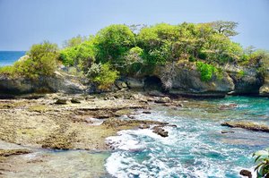 One of must visit site in Ujung Kulon is Karang Copong. A large coral dead coral (copong) located in the northern part of the Peucang island.
.
Sebenernya bisa jalan-jalan di bawah situ, tapi kemaren ngga dibolehin sama guidenya karena takut ombak tiba-tiba gede. Padahal penasaran sama isi bolongan karangnya itu. 😅
.
.
.
.
.
#karangcopong #pulaupeucang #ujungkulon #weekendgetaway #scenery #beach #sea #travel #travelgram #instatravel #blogger #travelblogger #sonyalpha #vsco #instadaily #instagood #instamood #clozetteid #like4like