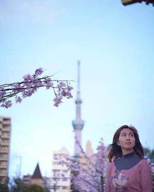 Tokyo Sky Tree on the background, from the Senso-ji Temple. That's fake cherry blossom, btw. But, well.. who's care. 😌
.
📷by @goenrock .
.
.
.
.
.
#tokyo #tokyoskytree #sensoji #sensojitemple #asakusa #japan #japantrip #chicinJapan #cherryblossom #spring #travel #travelgram #instatravel #blogger #travelblogger #instadaily #instamood #instagood #instamoment #clozetteid #like4like
