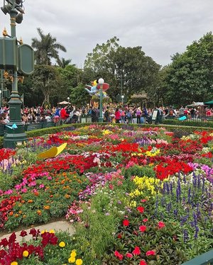 Spring Festival in Hongkong Disneyland. ❤❤ #hongkong #disneyland #travel #travelling #clozetteid