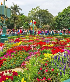 Throwback to spring time in Hong Kong Disneyland #spring #springtime #flowers #garden #gardening #disneyland #disneylandhk #disneylandhongkong #hongkong #travel #travelling #traveller #travelidea #travelstyle #igtravel #holiday #holidaymood #colorful #clozetteid