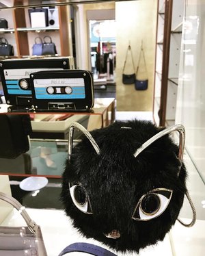 this black cute cat bag is my favorite ❤️❤️❤️ its so cuteeee #bag #cat #ktespade #acessories #catlover #cute #clozetteid