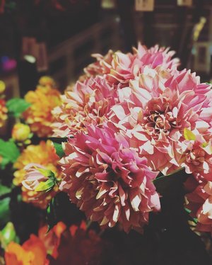 Happy Sunday ❤️ #sunday #happysunday #flowers #dahlia #bouquet #instadaily #instagood #clozetteid
