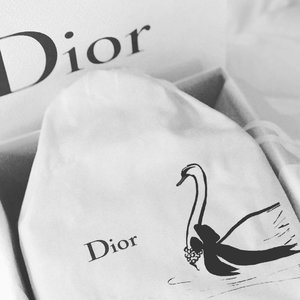 we cant find what i want so we bought this... but thats okay.. Love Love Love #dior #diorbag #ladydior #ladydi #tpf #thebagsoftpf #purseboppicks #clozetteid