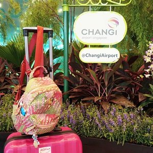 Arrived save and sound this afternoon at @changiairport!
I'm sooooo sleeppyyyy and tired. But i will update some more about this trip and also will upload another swatches on my IG *thinking about lip swatch or eyeshadow swatch 😆
So stay tuned 💋
.
.
.
#auzolafunjourney #trip #singapore #changi #changiairport #bag #pink #travel #holiday #influencer #beautyinfluencer #blogger #beautyblogger #indonesianbeautyblogger #vacation #travelling #fun #love #jalanjalan #liburan #clozetteid