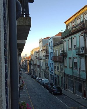 Good morning from #PortoNautico.Pigeons and seagulls often showed up! .....#ClozetteID#nofilter#neiiPRTtrip #neiiEURtrip#nofilter#instatravel#iwokeuptothis #Porto#Portugal#TravelTerus#createmoments