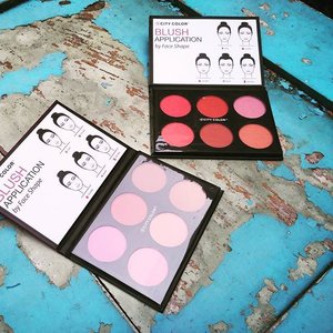 My @citycolorcosmetics blush on pallete is comiiiing! Matte and shimmer glow pro pallete. 
Yay! Can't wait to try 'em.. .
.
.
#makeup #beautyhaul #makeuphaul #citycolorglowproblush #citycolor #blushon #blushonpallete #clozetteID