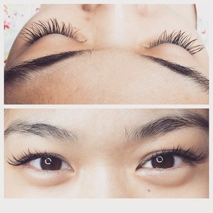 One happy customer 😘 thanks @misselisse for getting your lashes done with me! We went for a demi wispies look - B curl 20mm 10-11-12 (inner to outer). If you dont already know, I am a certified lash technician as well (certified by lashforevercanada)! 😊 #clozetteid #kireimakeup #eyelashextension #lashbar #indonesia #lash #lashes #eyelashes #lashextension #indonesianmua #indonesianbeautyblogger #mua #jakartamua #jakarta #lashtechnician #lashforevercanada