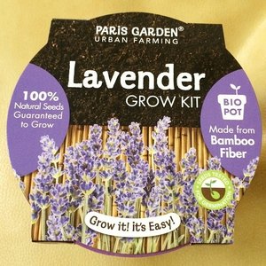 Found this over at Ace Hardware store! Can't wait to see it grow!!! Did you know Lavender has many uses?! You can use lavender oil in aromatherapy to help calm and relax yourselves. You can preserve and dry lavenders, put them in a pouch, and hang it in your wardrobe to make your clothes smell real good! You can also mix it with some sugar or sea salt to make it into a body scrub! Xoxo
#clozette #clozetteid #themoreyouknow #lavender #used #benefits #purple #flower #scent #perfume #driedlavender #diy #homemade #organic #makeup #cosmetics #skincare #bath #scrubs #makeupjunkie