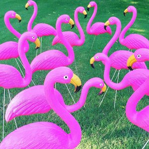 This Flamingo belongs to @sophlog 💕💕 #clozetteid #flamingo #birdsofinstagram #colormood #abmlifeiscolorful