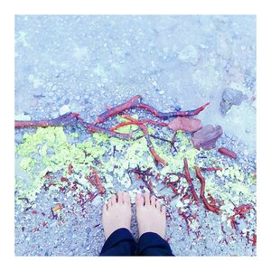 From all that I saw and everywhere I wandered, I learned that time cannot be spent. It only can be squandered //romanpayne

#clozetteid #currentmood #beachessentials #abeautifulmess #abmlittlethings #beachwalk #acolorstory #fwisfeed #sundayquote
