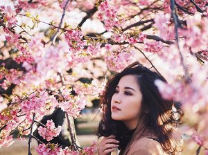When the sakura and the sun fits perfectly together. #firstbloom 
_
_
Always prepare for holiday and got my eyelash extensions from @lashtiqueid 
_
_
#japantrip #japanholiday #whattodointokyo #whattodoinjapan #yoyogipark #clozetteid #clozetteambassador #cherryblossom #cherryblossoms #sakurabloom #japanstyle