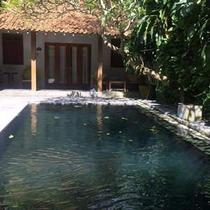 Love the pool so much 📸
.
.
.
@domahyogya
.
.
.
#clozetteid #lifestyle #domahyogya #hotelreview #yogyakarta #sofiadewitraveldiary #traveller #travelblogger 💙